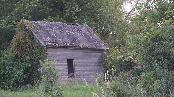 DSC05580