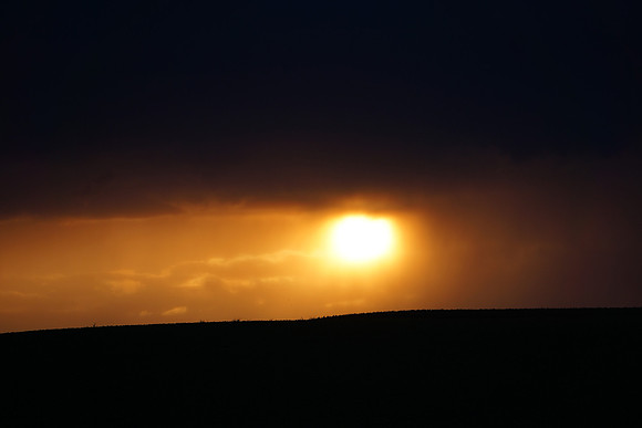 DSC05364
