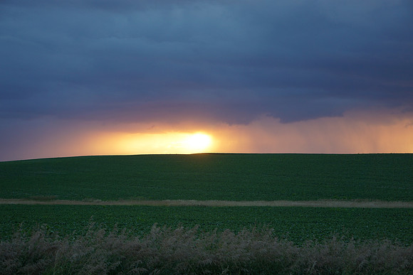 DSC05365
