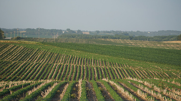 DSC05532