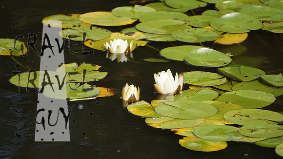 DSC03841