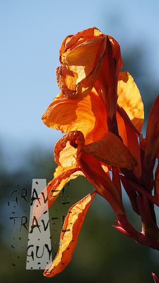 DSC00909