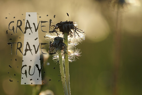 DSC03874