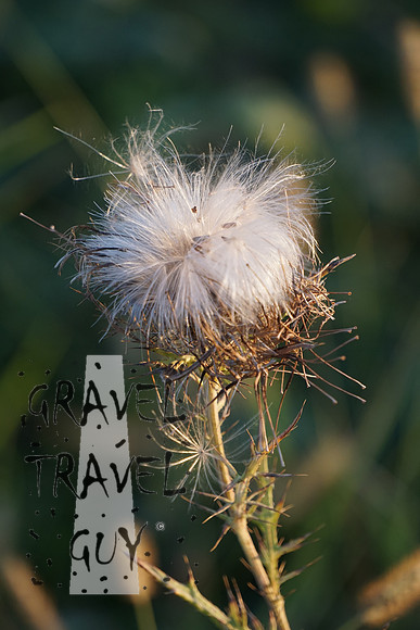 DSC00076